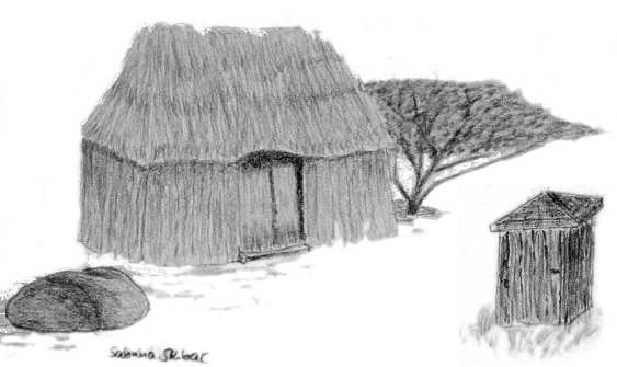 Hut image